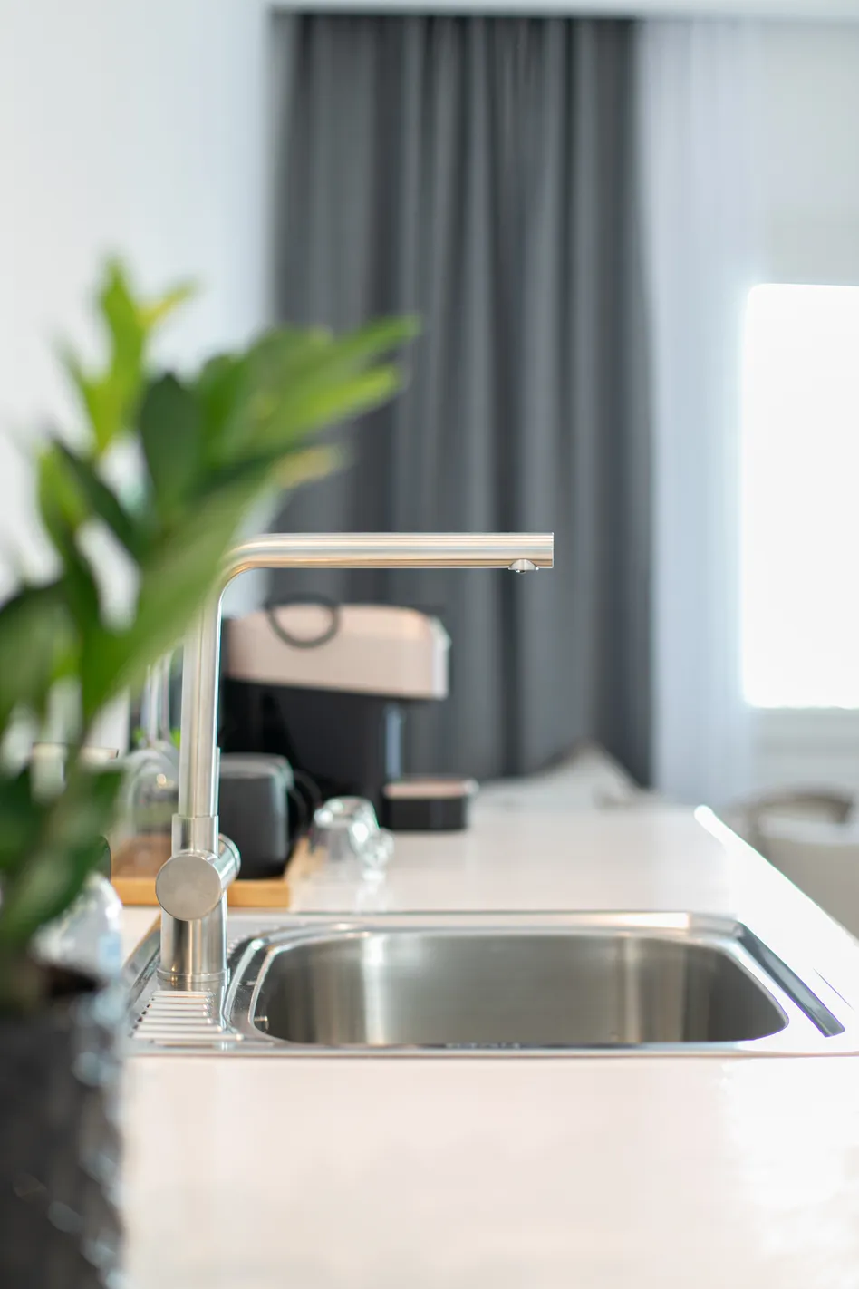 Kitchenette sink and plant detail